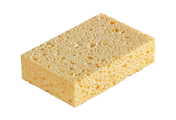 Natural sponge All jobs