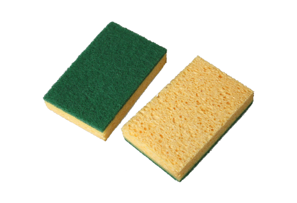 Natural abrasive sponge
