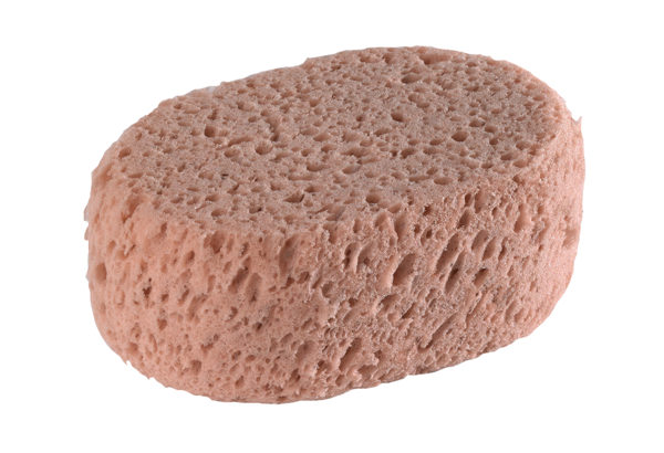 Oval synthetic sponge
