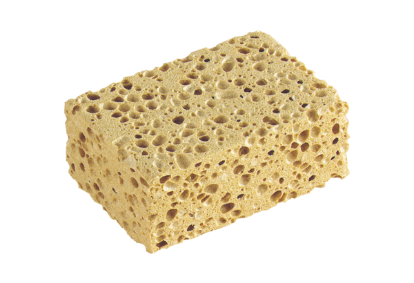 Natural sponge for large jobs