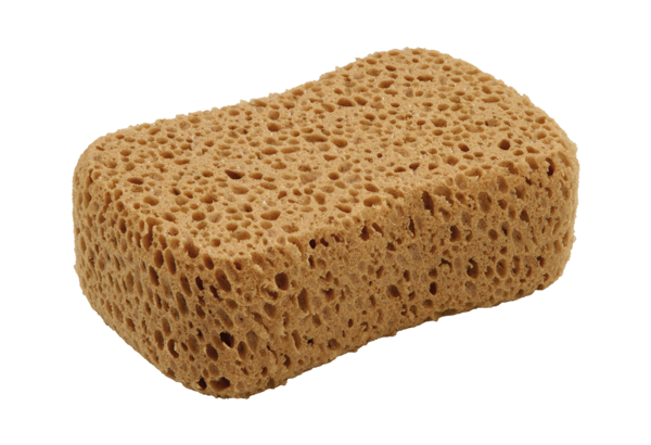 Bone shaped synthetic sponge 